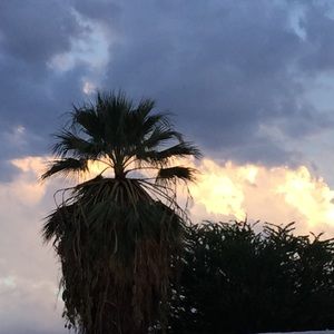 Meet your Posher, Annika